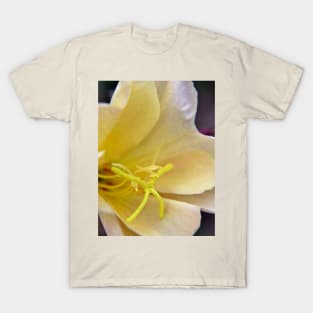 Evening Primrose Flower T-Shirt